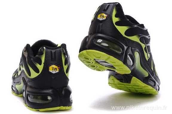 vert Nike Air Max TN 2011 (1)